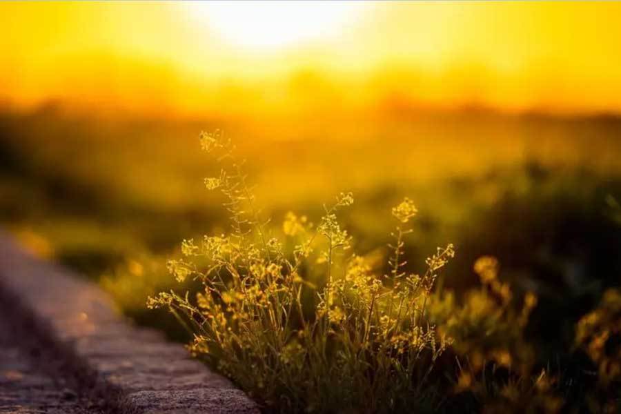 智能手表带时尚科技公司研发新